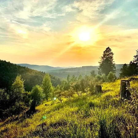 Stilvolle Mit Blick Und Selbst-check-in