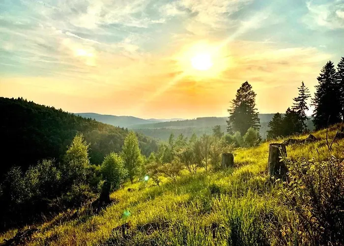 Stilvolle Mit Blick Und Selbst-check-in